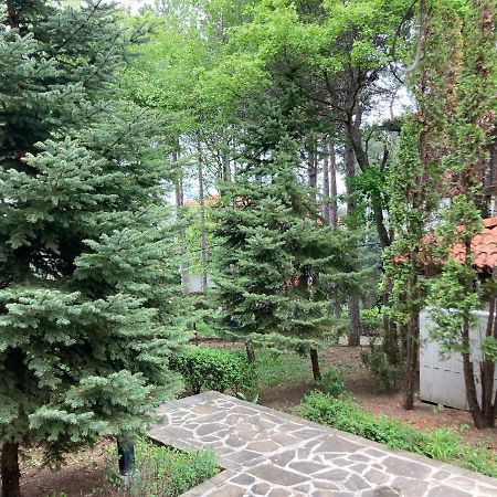 Lovely Apartment Santa Marina Sozopol Eksteriør bilde